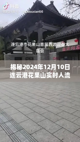 揭秘连云港花果山在2024年12月10日的盛大人流盛况