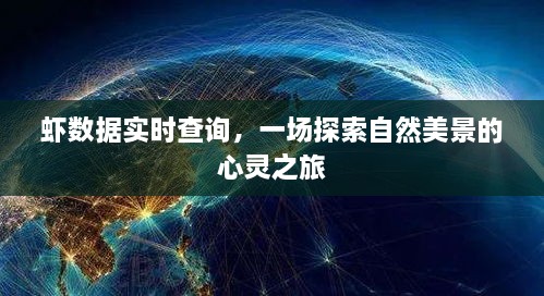 虾数据实时查询，自然美景的心灵探索之旅