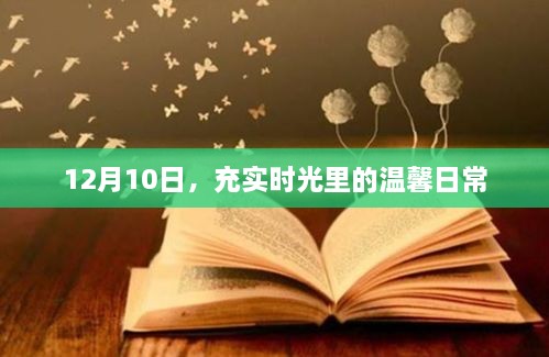 温馨日常，充实时光里的美好瞬间（12月10日）