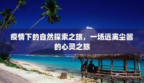 疫情下的自然探索之旅，心灵净化之旅