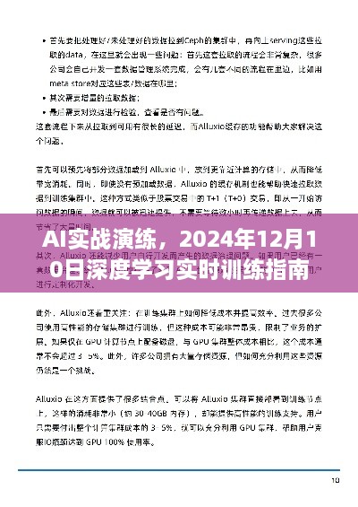 AI实战演练，深度学习实时训练指南（2024年12月版）