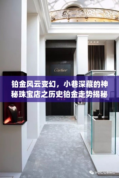 铂金风云与小巷珠宝店的秘密，历史铂金走势深度解析