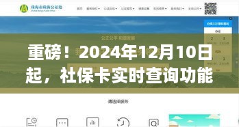 2024年12月19日 第5页