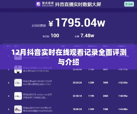 抖音实时在线观看记录全面评测与介绍（实时更新至12月）