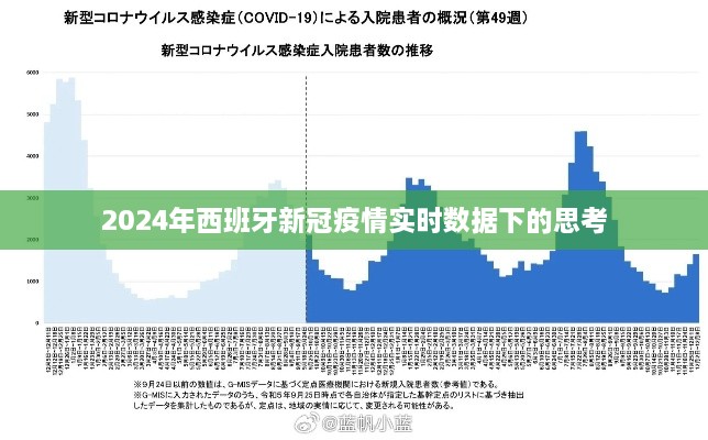 2024年12月21日 第22页