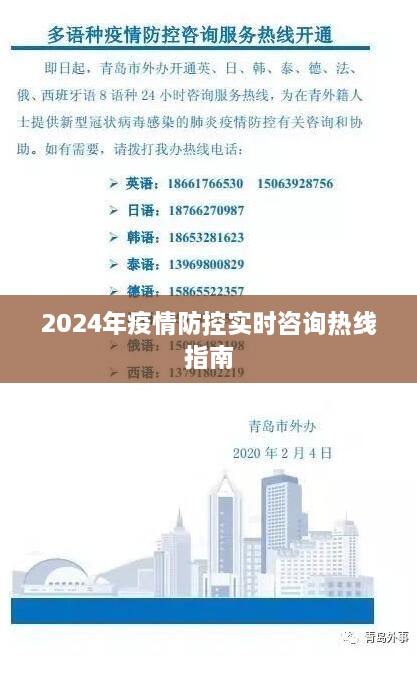 2024年疫情防控实时咨询热线指南，全面指导与资源汇总