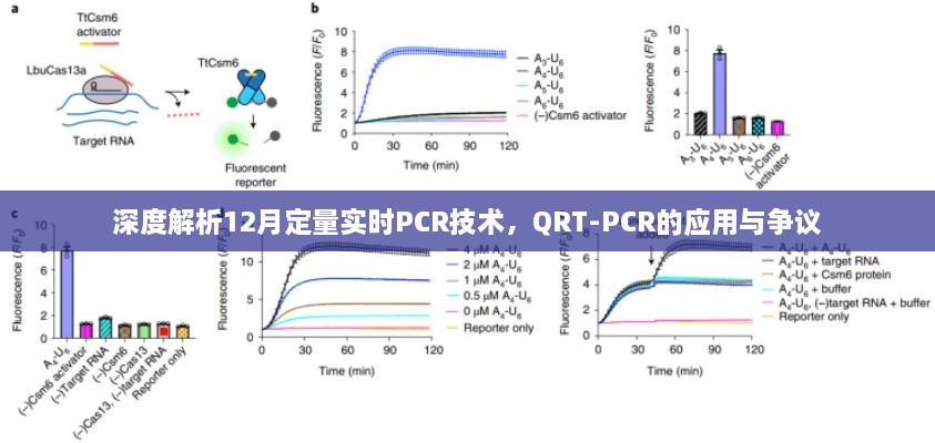 深度解析，实时荧光定量PCR技术（QRT-PCR）的应用与争议