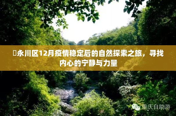 永川区疫情稳定后的自然探索之旅，寻找内心的宁静与力量