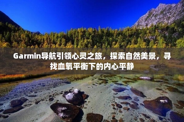 Garmin导航，心灵之旅的引领者，探索自然美景与血氧平衡下的内心宁静