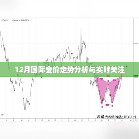 12月国际金价走势解析与实时关注