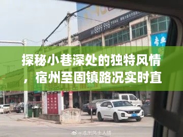 探秘小巷风情与路况直播，宿州至固镇路上的隐藏特色小店揭秘