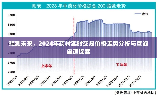 2024年药材实时交易价格走势预测及查询渠道探索