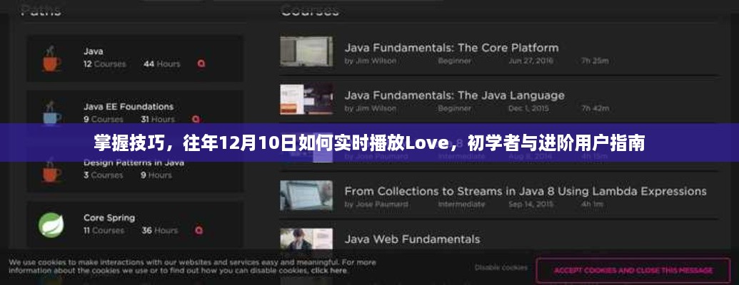掌握技巧，Love实时播放指南——初学者与进阶用户必读