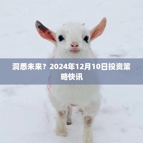 洞悉未来投资趋势，2024年投资策略快讯