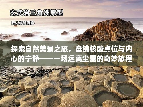 盘锦自然探索之旅，核酸点位与内心宁静的奇妙交融