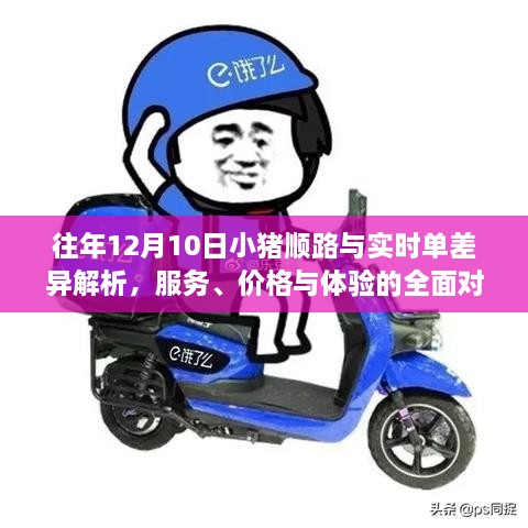 往年12月10日小猪顺路与实时单差异深度解析，服务、价格与体验的全面对比报告