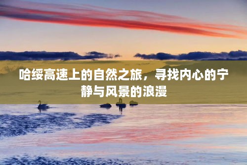 哈绥高速自然之旅，探寻内心宁静与风景浪漫之旅