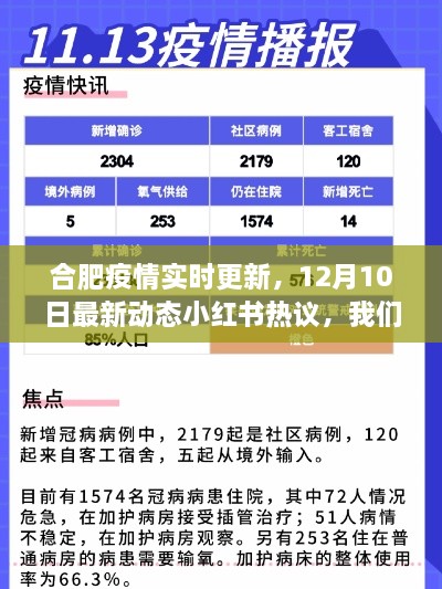 合肥疫情最新动态，12月10日更新，小红书热议引关注