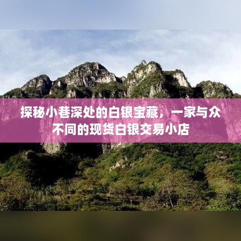 探秘小巷深处的白银宝藏，独特现货白银交易小店揭秘