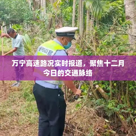 万宁高速实时路况播报，聚焦十二月交通脉络