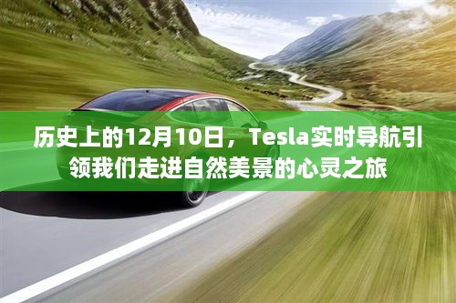 Tesla实时导航引领心灵之旅，历史上的12月10日自然美景探索之旅