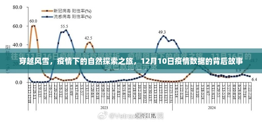 穿越风雪，疫情下自然探索之旅背后的故事（12月疫情数据分析）