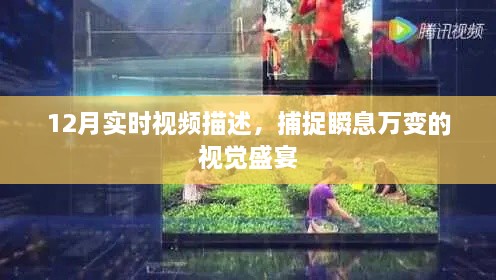 12月视觉盛宴，实时视频捕捉瞬息万变的精彩瞬间