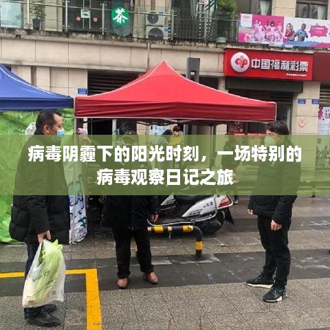 病毒阴霾下的阳光时刻，特殊观察日记之旅