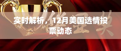 美国大选投票动态实时解析，12月选情聚焦