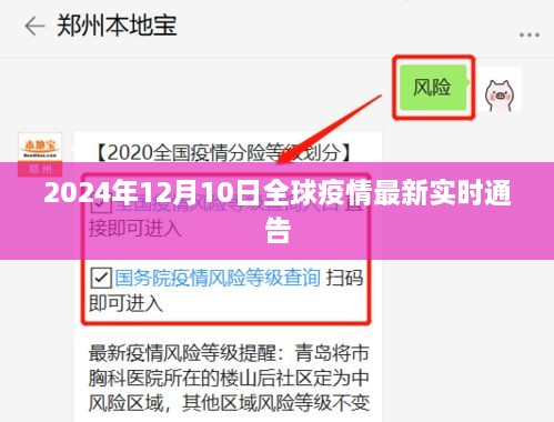 全球疫情最新实时更新，2024年12月10日报告