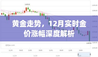 黄金走势解析，深度探讨12月实时金价涨幅