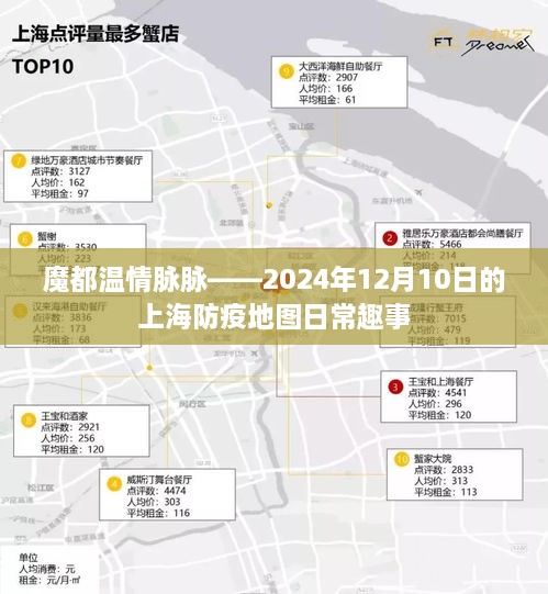 魔都温情脉脉，上海防疫地图下的日常趣事（2024年12月10日）