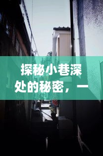 探秘巷子深处，实时传送摄像手机软件带你发现特色小店