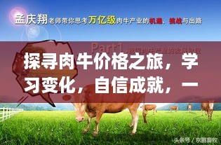 探寻肉牛价格之旅，笑迎挑战，成就自信之路