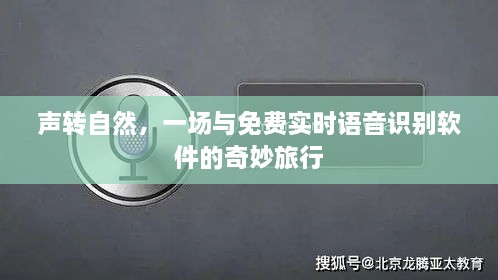 声转自然，免费实时语音识别软件的奇妙探索之旅