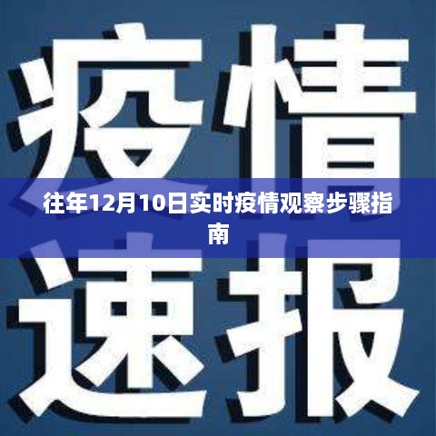 往年12月10日实时疫情观察指南，步骤详解