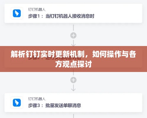 解析钉钉实时更新机制，操作指南与多方观点探讨