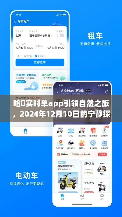 哈啰实时单app引领宁静探险之旅，2024年12月10日的自然之旅新体验