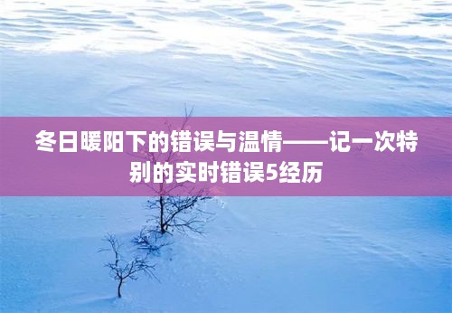 冬日暖阳下的错误与温情，一次特别的实时错误经历