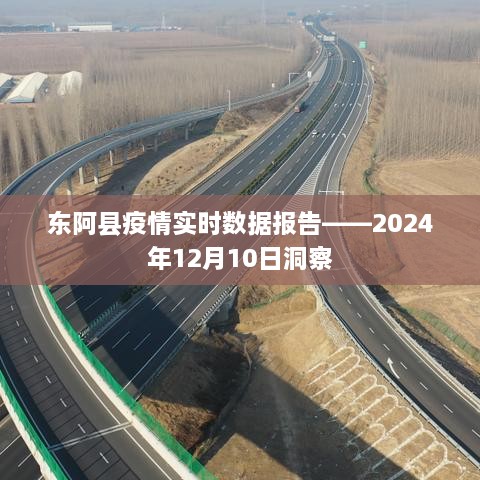 东阿县疫情实时数据报告——深度解析2024年12月疫情动态