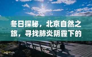 冬日探秘北京自然之旅，寻找肺炎阴霾下的宁静绿洲