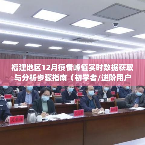 福建地区12月疫情峰值实时数据获取与分析指南（适合初学者与进阶用户）