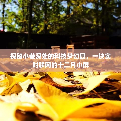 科技梦幻园探秘，小巷深处的实时联网十二月小屏