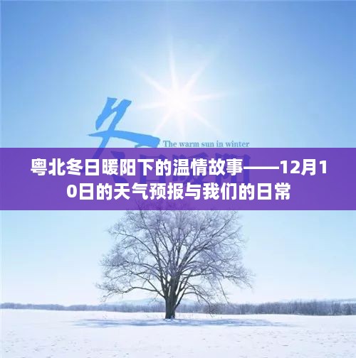 粤北冬日暖阳下的温情日常——天气预报中的故事与日常观察