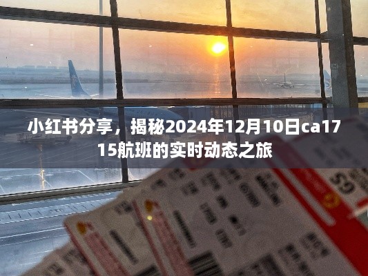 小红书分享，揭秘CA1715航班2024年12月10日实时动态之旅