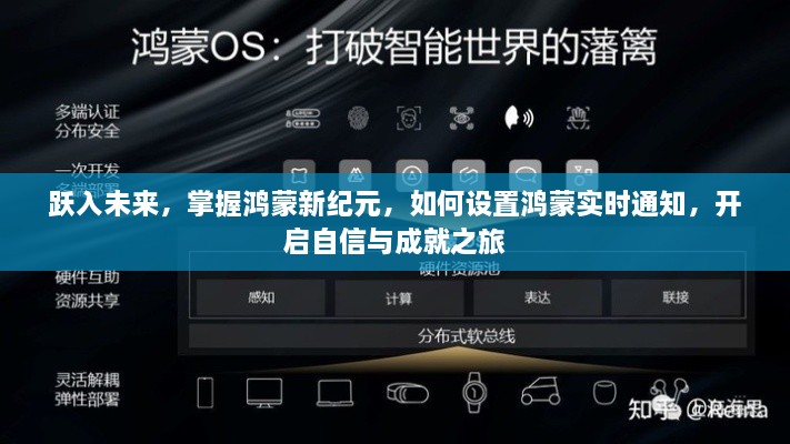 跃入鸿蒙新纪元，实时通知设置指南，开启自信成就之旅