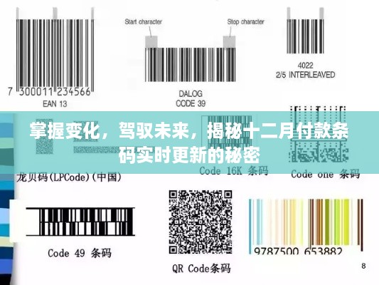 揭秘十二月付款条码实时更新背后的秘密，掌握变化，驾驭未来