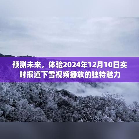 体验未来雪舞，2024年实时报道下雪视频的独特魅力展望