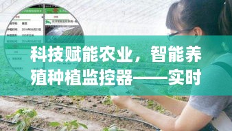 科技赋能农业，智能监控器助力智慧种植养殖新时代，实时掌握价格涨幅开启新篇章