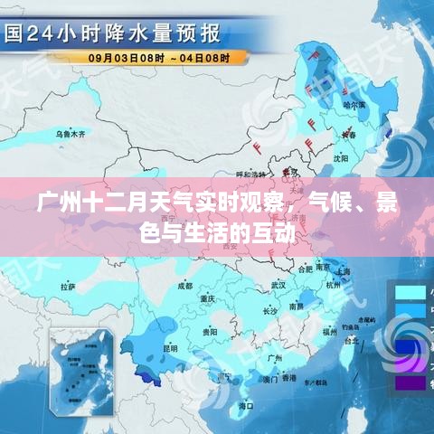 广州十二月气候实时观察，天气、景色与生活互动探究